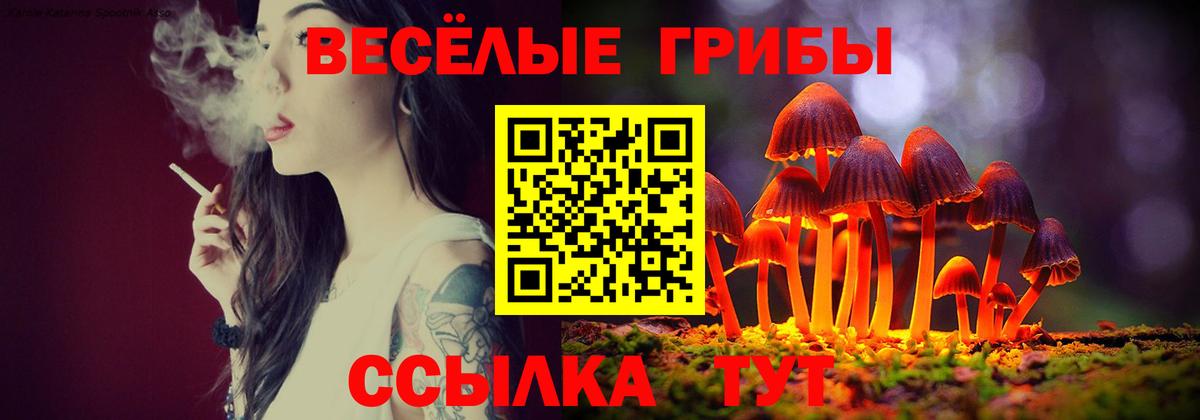 Псилоцибиновые грибы прущие грибы  Псилоцибиновые грибы Cubensis  что такое   Йошкар-Ола  Вход с VPN 
